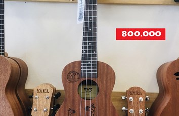 Đàn Ukulele size 23" - 19 - 800.000 